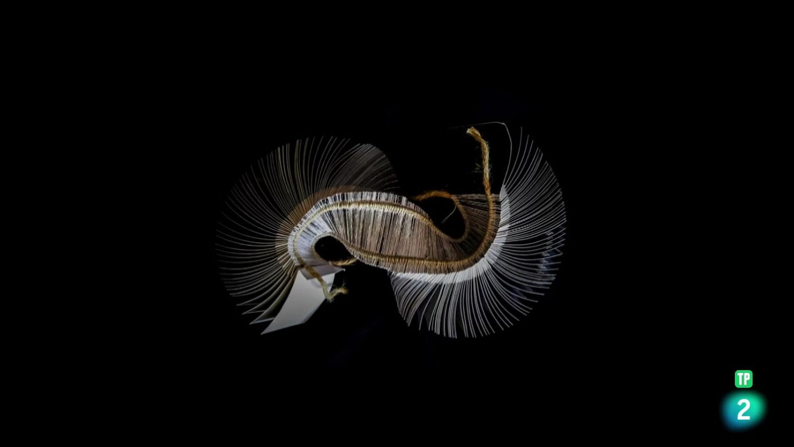 Boek Visual: Javier Valverde | Ver