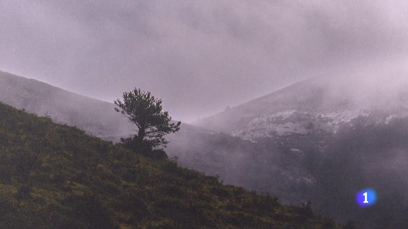 Informativo Telerioja 2 - 12-12-2024 - Informativo Telerioja | Ver