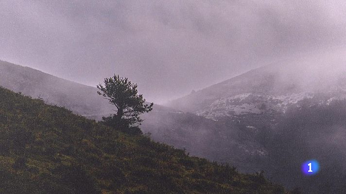 Informativo Telerioja - Informativo Telerioja 2 - 12-12-2024