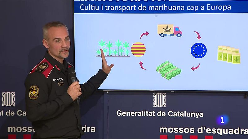 Desmantellat un grup criminal asiàtic de blanqueig del narcotràfic - L'Informatiu | Veure