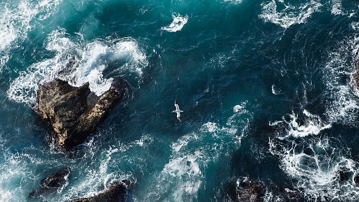 Mares en movimiento - El desconocido Mar del Norte