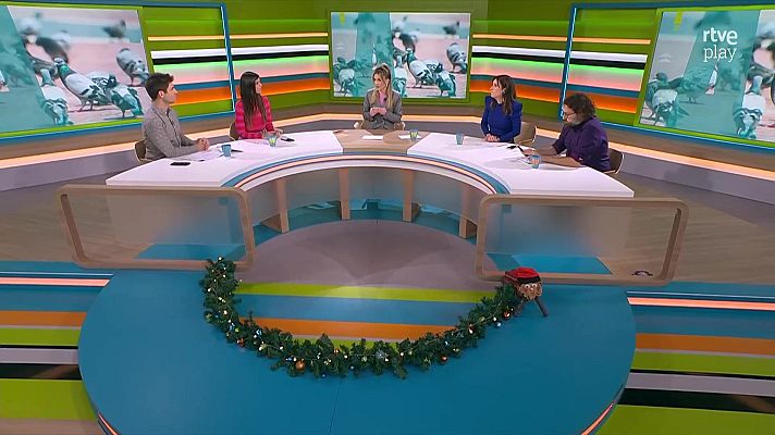 L'altaveu - Sobrepoblació de coloms a Barcelona