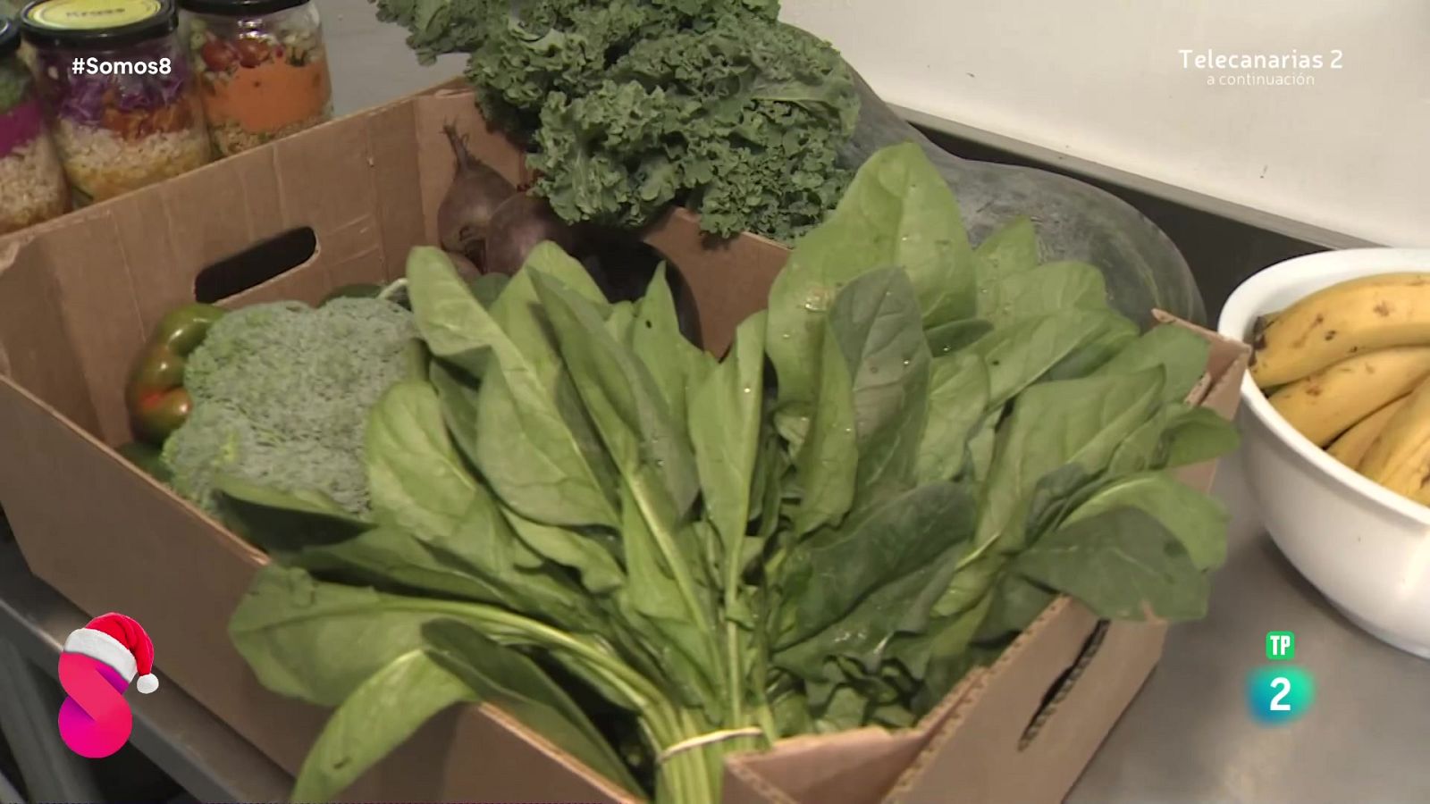 Somos 8 - 12/12/2024 - Somos 8 | Ver