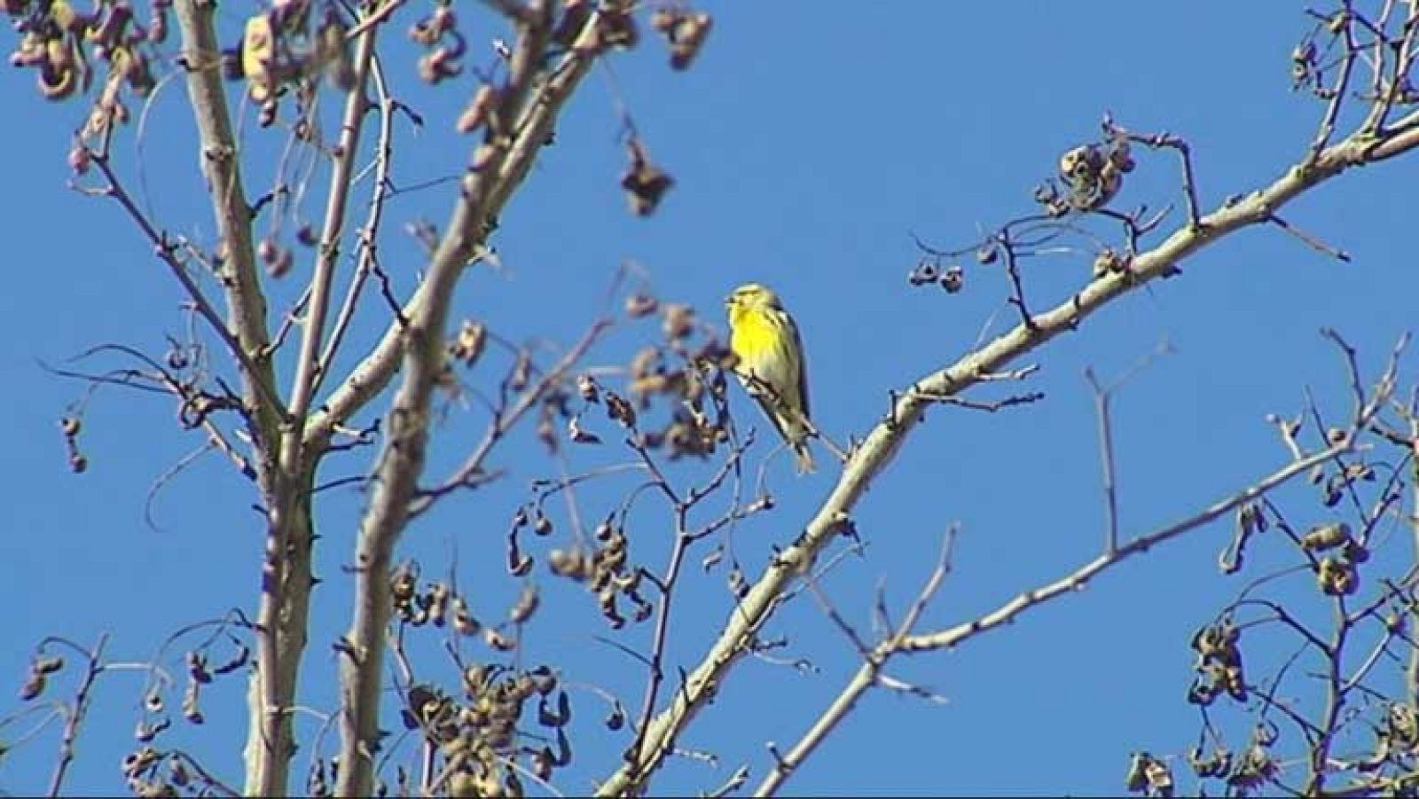 Cielos poco nubosos en toda España y temperaturas con pocos cambios
