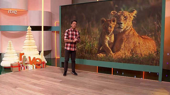 Aquí la Tierra - Aquí la Tierra - 12/12/24