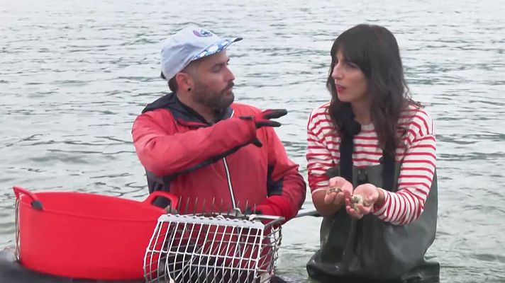 Aquí la Tierra - Los héroes del mar