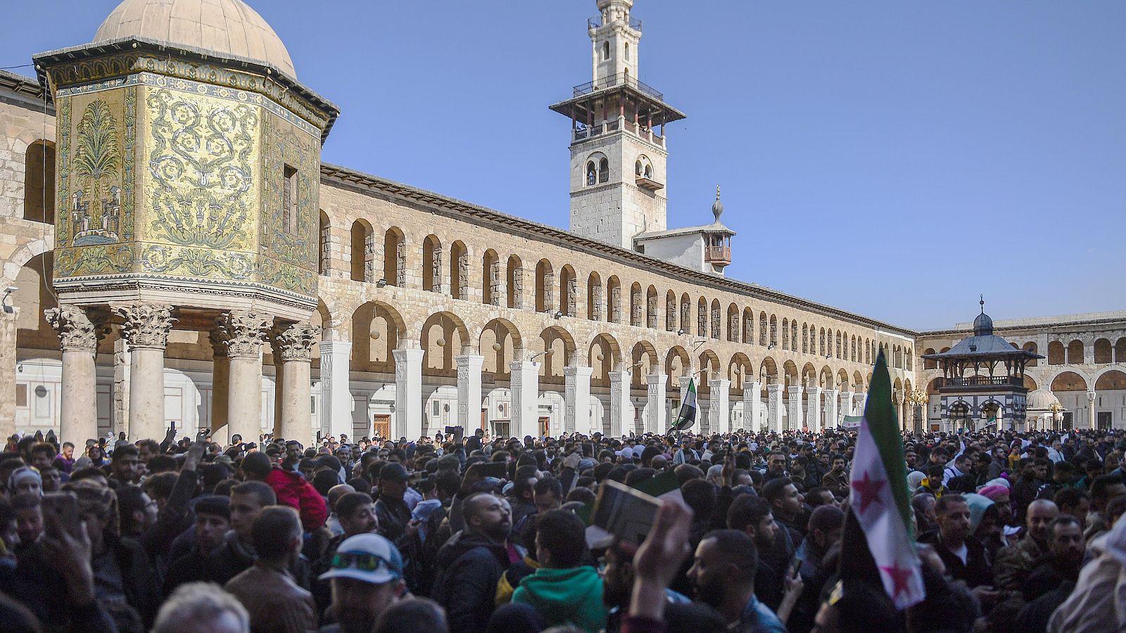 Informe semanal - 14/12/24 - Lengua de signos - ver ahora