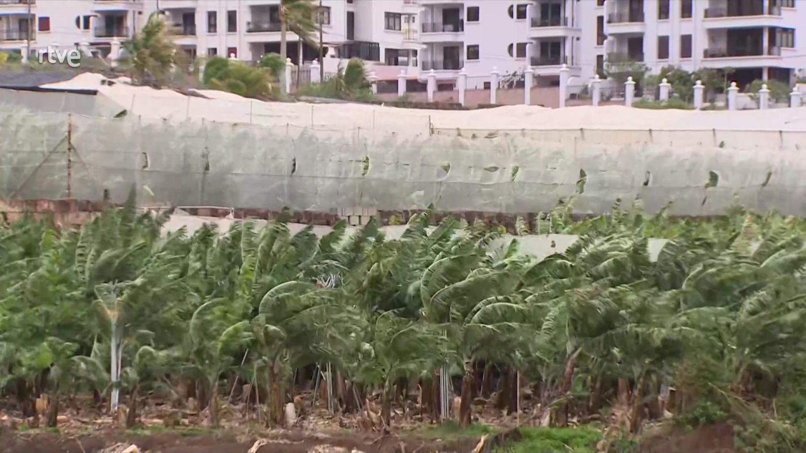 Informativo 24 horas - 20h - 15/12/24 - ver ahora