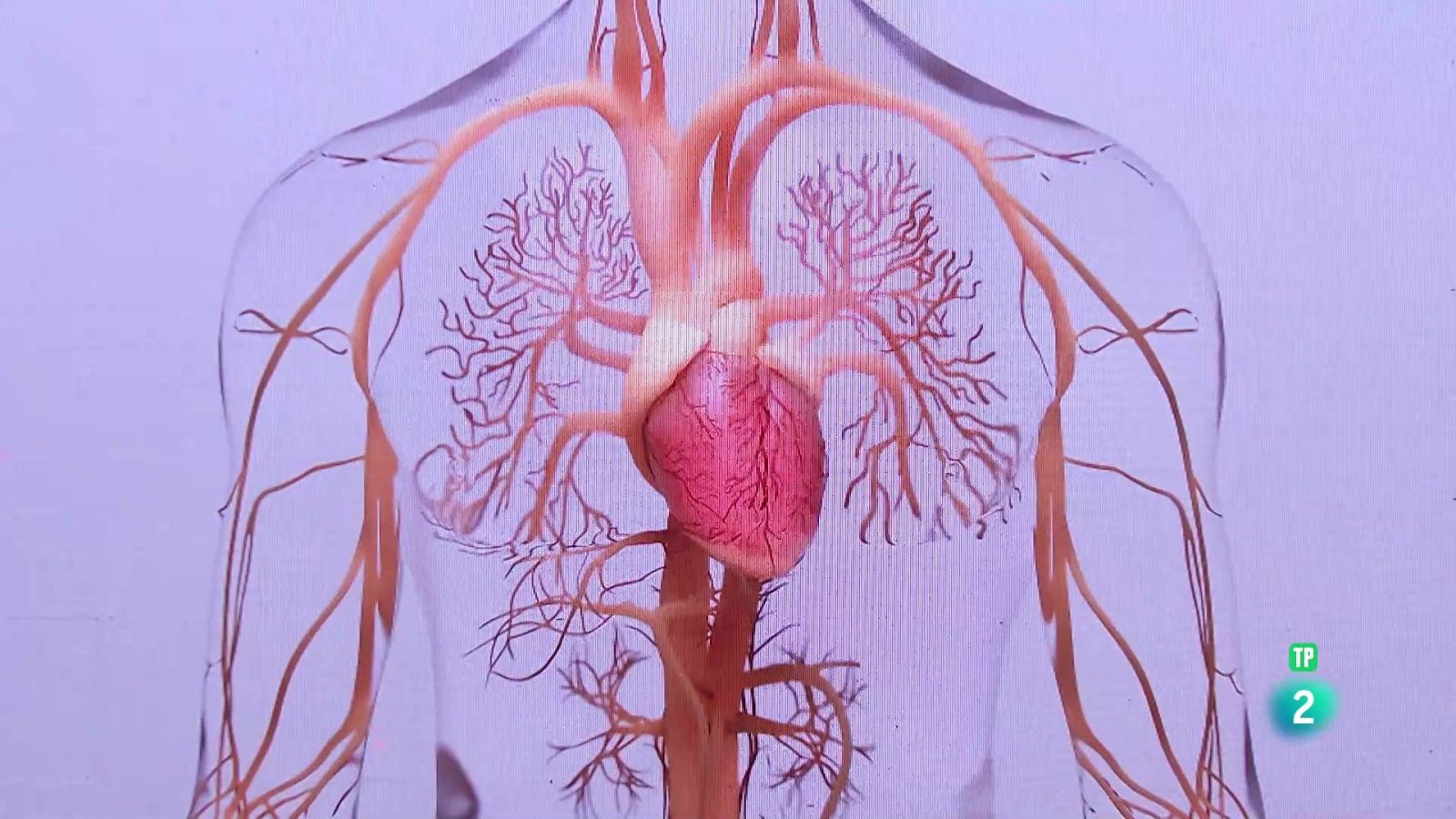 Leticia Fernández-Friera. La salud cardiovascular | Ver