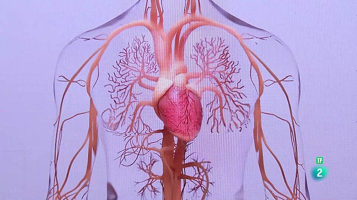 La aventura del Saber - Leticia Fernández-Friera. La salud cardiovascular