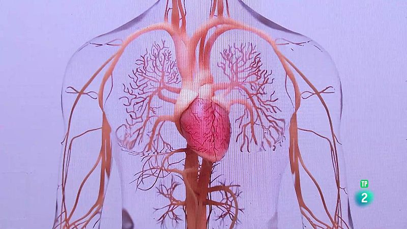 Leticia Fernández-Friera. La salud cardiovascular | Ver