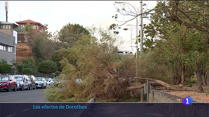 Telecanarias - Telecanarias - 16/12/2024