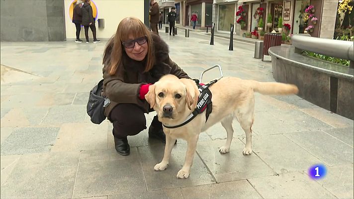 - L'Once dona el seu gos pigall número 3.000 a una veïna de Blanes