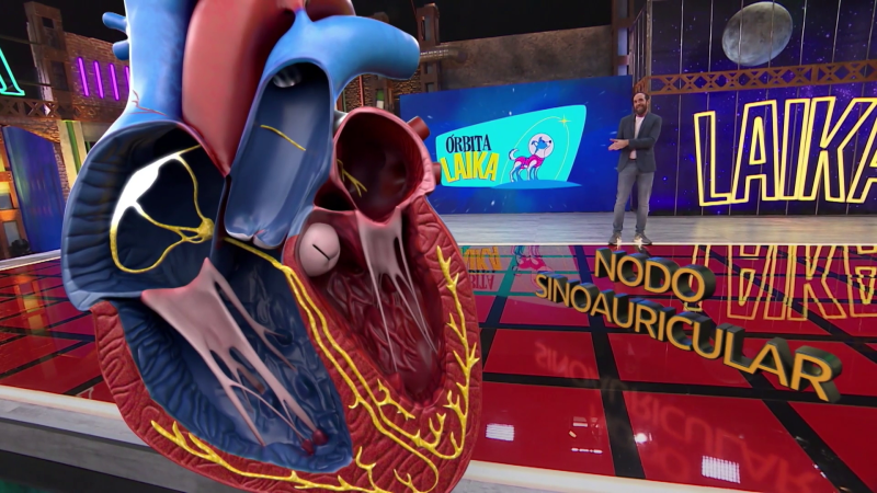 �C�mo funciona el coraz�n?, con Eduardo S�enz de Cabez�n - �rbita Laika | Ver