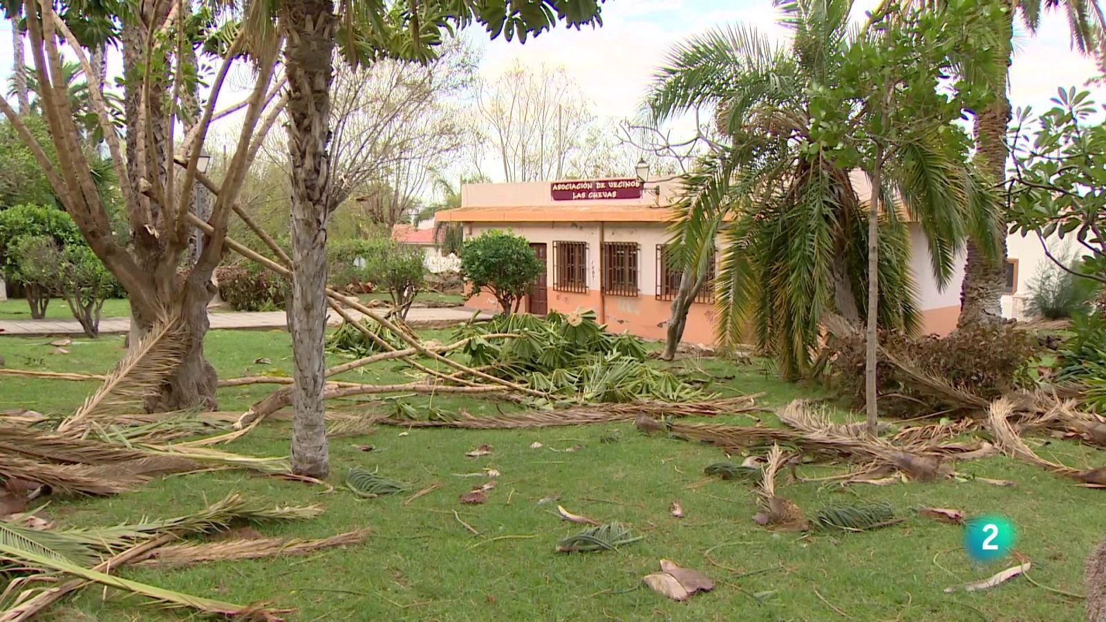 Telecanarias 2 - 16/12/2024 | Ver