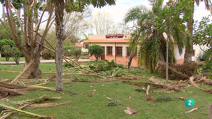 Telecanarias - Telecanarias 2 - 16/12/2024