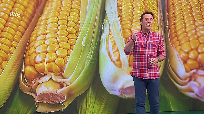 Aquí la Tierra - Aquí la Tierra - 16/12/24