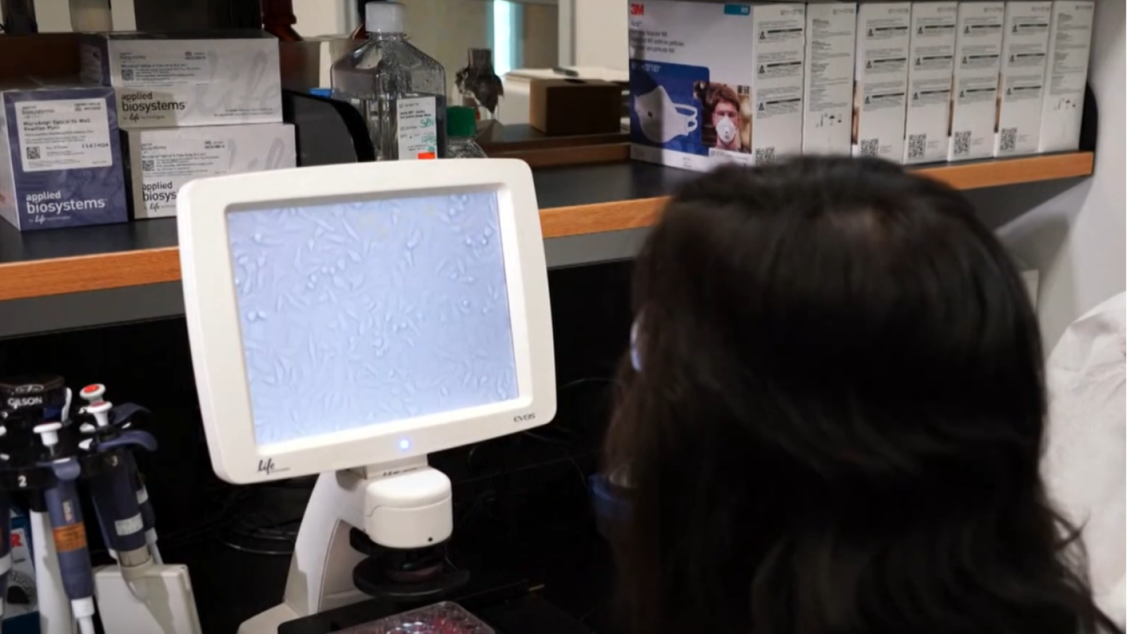 Detectan la polio en aguas residuales de cinco países europeos | Ver