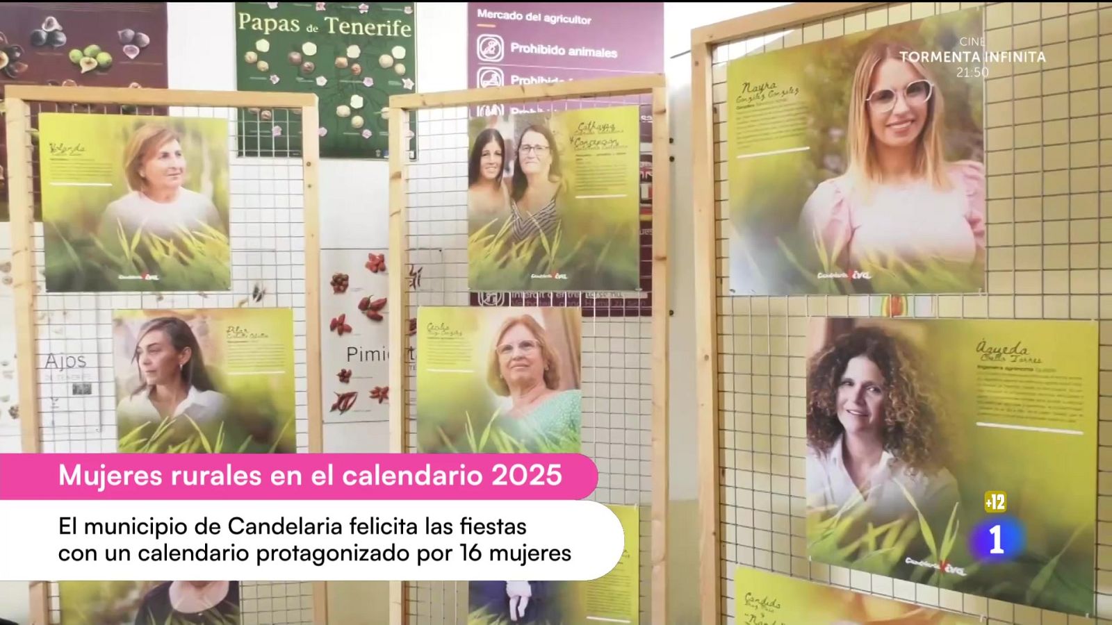 Cerca de ti - 18/12/2024 - Cerca de ti | Ver