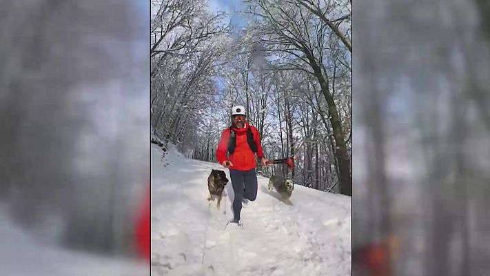 Aquí la Tierra - Corriendo por los bosques de Palencia