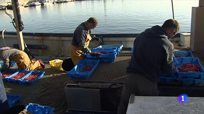 L'Informatiu - Acord per pescar gamba vermella aquest Nadal