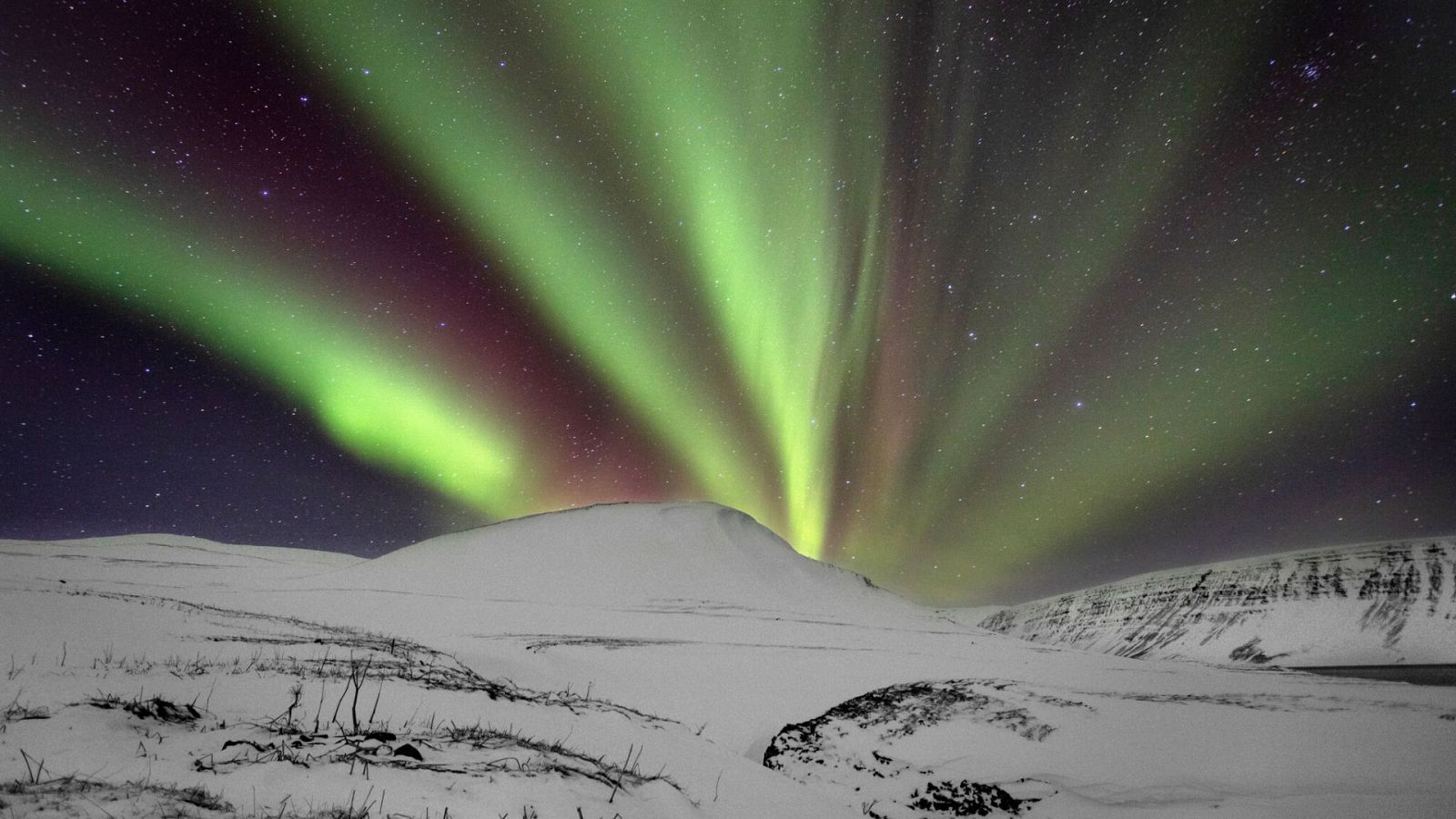 Escandinavia salvaje - Episodio 3: Hielo y fuego - ver ahora