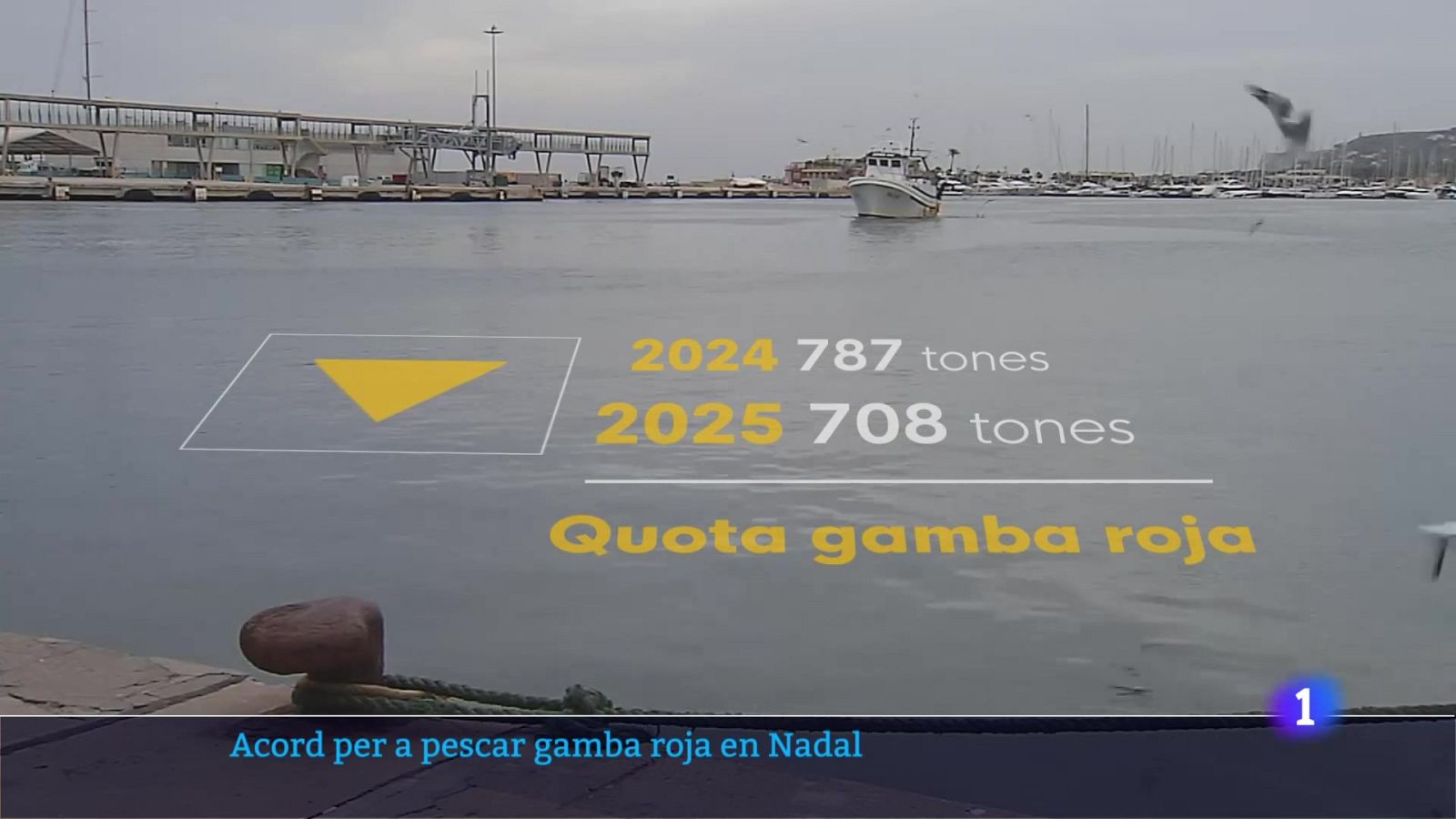 L'Informatiu de la Comunitat Valenciana 2 - 20/12/24 | Ver