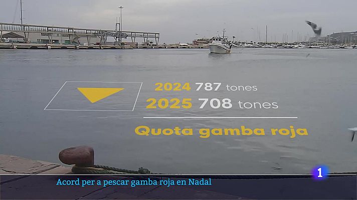 L'informatiu - Comunitat Valenciana - L'Informatiu de la Comunitat Valenciana 2 - 20/12/24