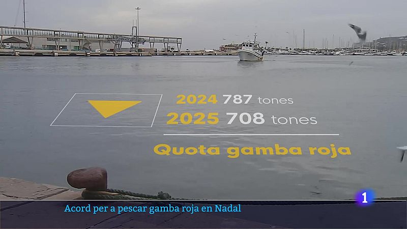 L'Informatiu de la Comunitat Valenciana 2 - 20/12/24 | Ver