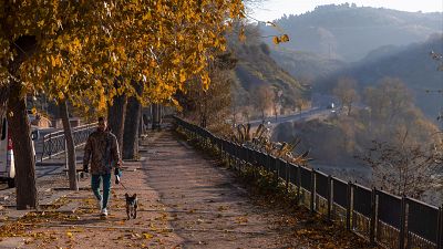 El tiempo en España 21 de diciembre: Nieblas densas en Galicia y Castilla y León y fuerte oleaje en Baleares