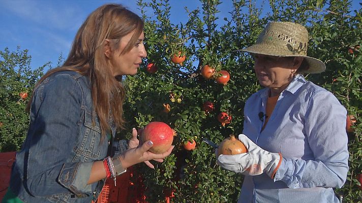 Comando Actualidad - Secreto ibérico
