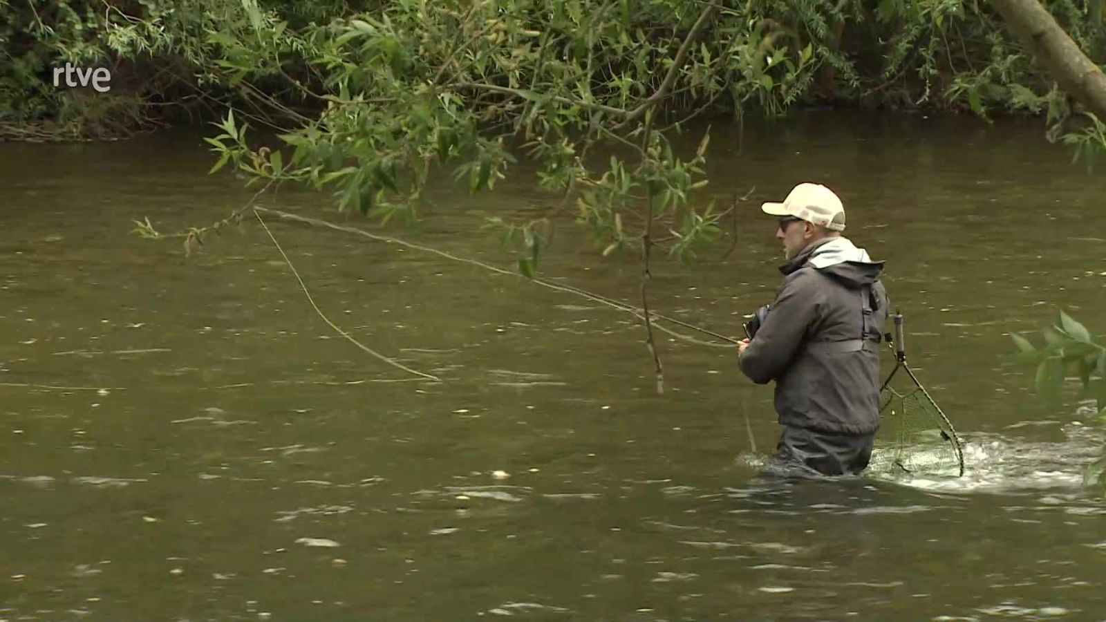 Jara y sedal - Los loops de Miren - ver ahora