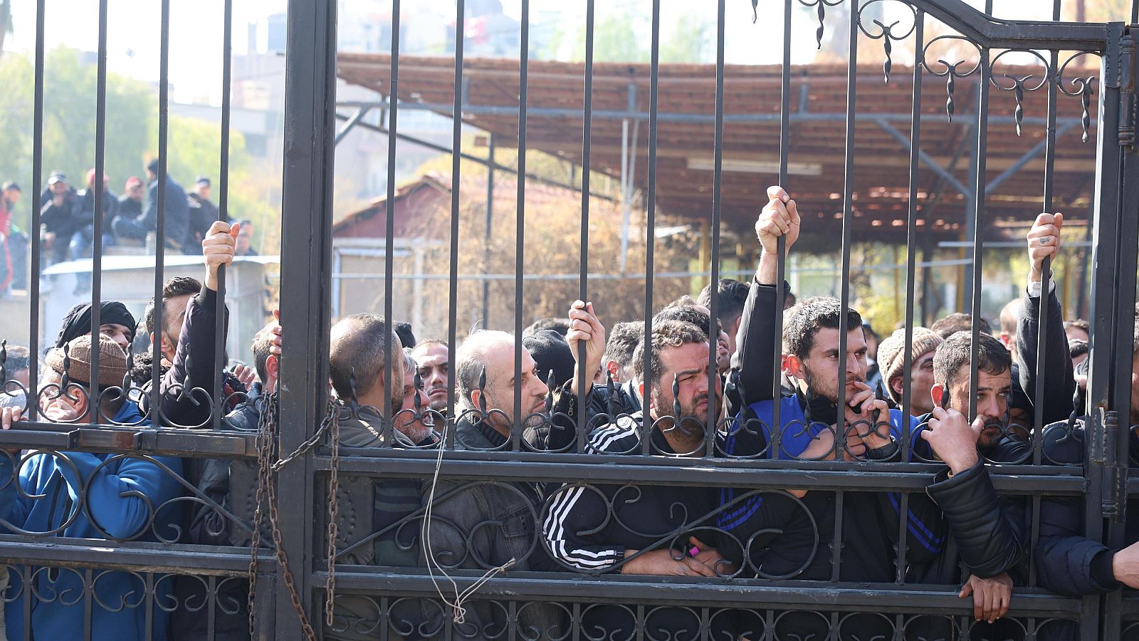 Antiguos miembros del ejército de Asad entregan sus armas | Ver