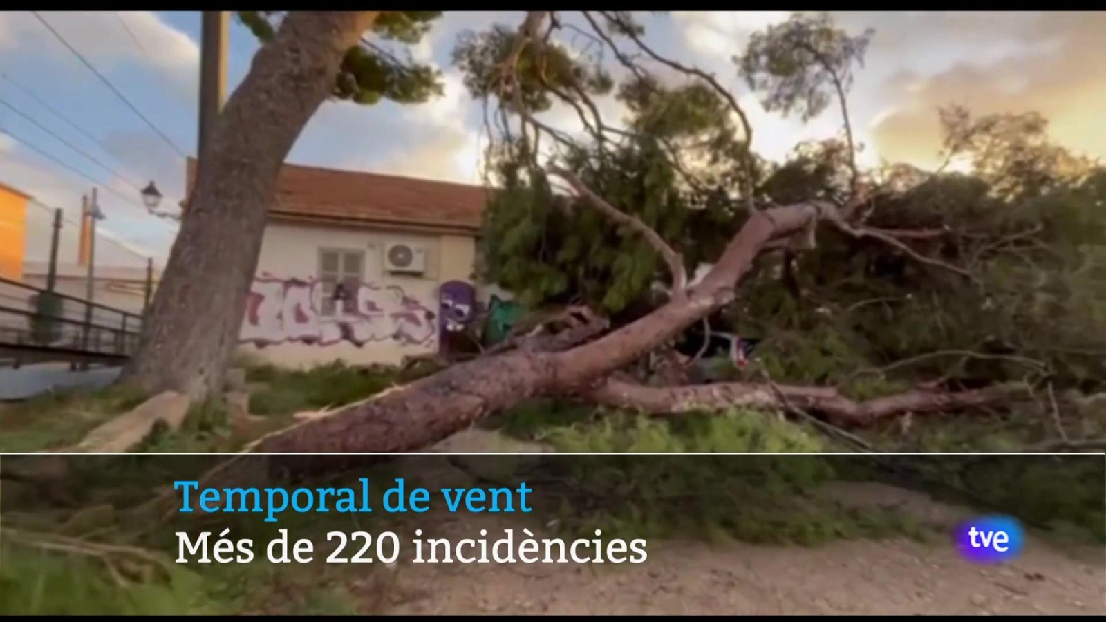 Informatiu Balear en 2' - 23/12/24 | Ver