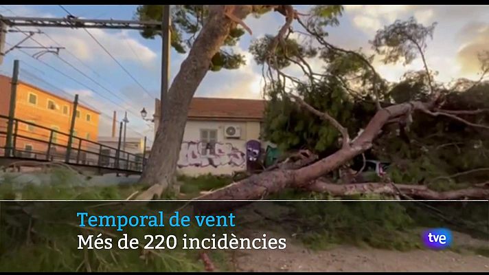 Informatiu Balear - Informatiu Balear 2 - 23/12/24