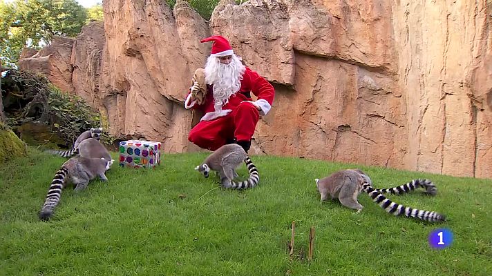 L'informatiu - Comunitat Valenciana - L'Informatiu de la Comunitat Valenciana 2 - 23/12/24