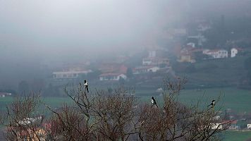 Levante fuerte en Andaluca y nieblas en otras regiones