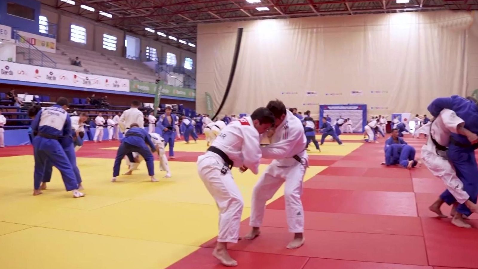 Judo - Resumen del año 2024 - ver ahora