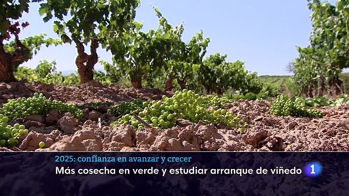 Informativo Telerioja - Informativo Telerioja 2 - 30/12/24 - Ver ahora