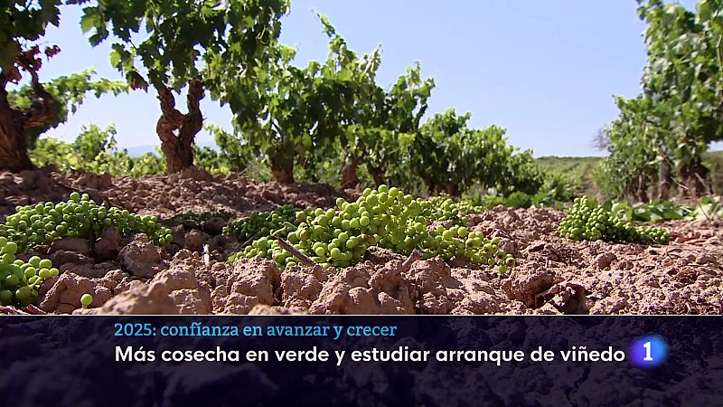 Telerioja en 2' - 30/12/24 - Ver ahora | Ver