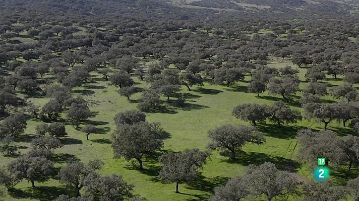 Turisme Rural al Món - Badajoz: de Llanos de Olivenza a la Serra de Tentudía