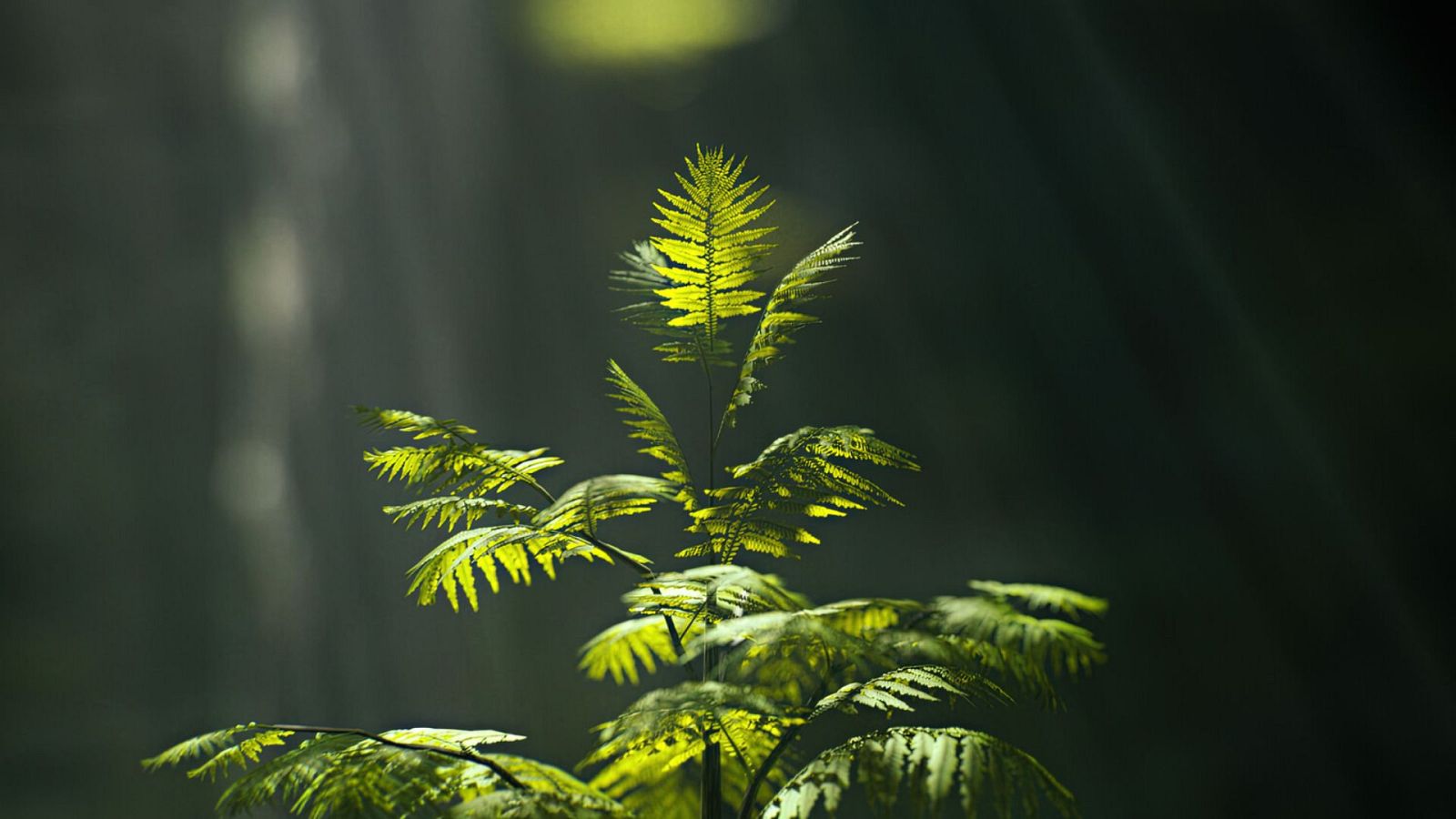 La Tierra - Episodio 3: Vegetación - Ver ahora