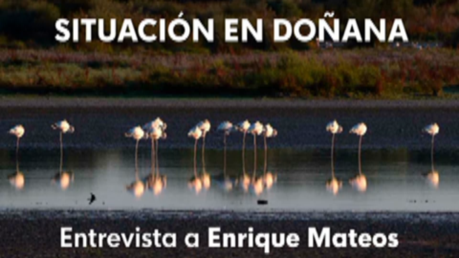 Entrevista a Enrique Mateos - Noticias Andalucía | Ver