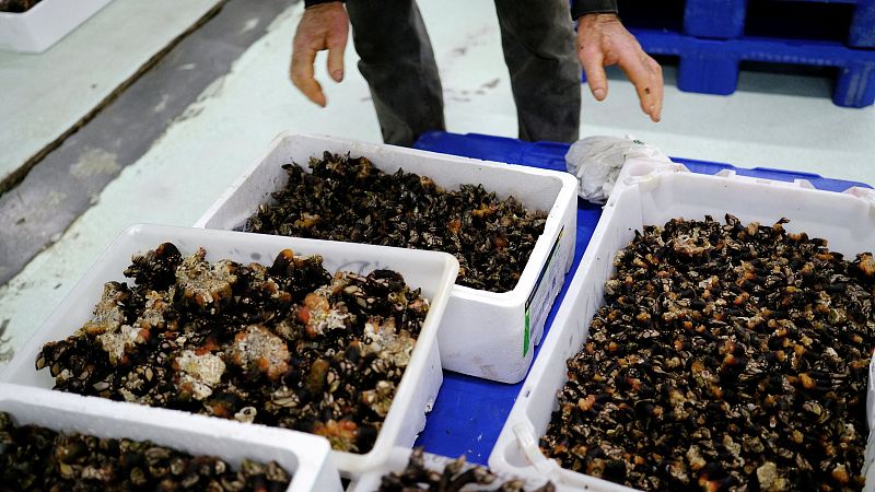 El paro baja en diciembre y la afiliación mejora - Informativo 24h | Ver