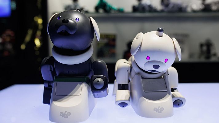 Telediario Fin de Semana - Consejos para que los juguetes inteligentes sean "ciberseguros"