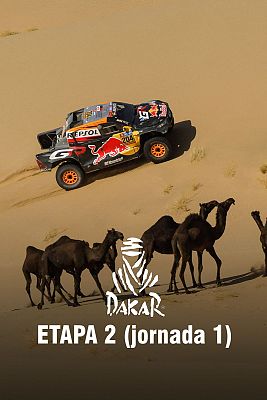 Dakar - Etapa 2 [1ª jornada]: Bisha > Bisha (1057 km) - Resumen de la Jornada