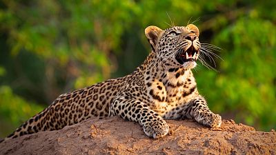 Las caras salvajes - Episodio 1: La sequ�a - ver ahora