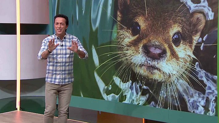 Aquí la Tierra - Aquí la Tierra - 07/01/25