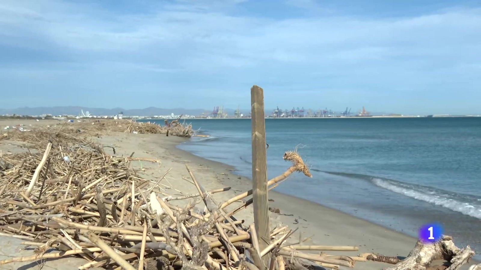 L'Informatiu de la Comunitat Valenciana 1 - 08/01/25 | Ver