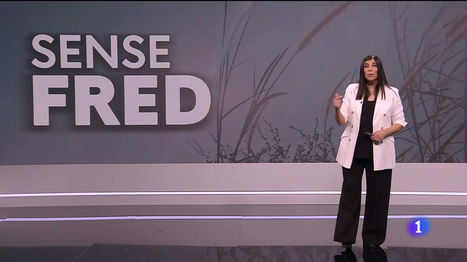 El temps a les Illes Balears - 08/01/25 | Ver